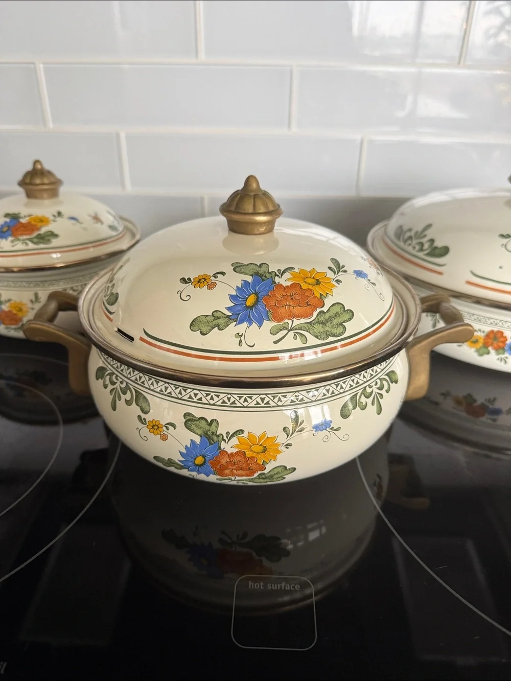 Vintage ASTA Fissler Style Enamelware Cookware Set Floral & Brass 3 Lidded Pots
